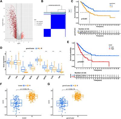 Characterizing the prognostic and therapeutic value of necroptosis in sarcoma based on necroptosis subtypes